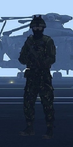 baf3.jpg