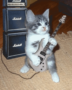 catrock_rjuaeuch.gif