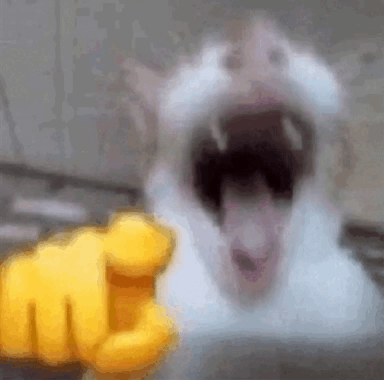 laughing-cat.png.65967e76aadc6d70ea3fe51e19c99966.png