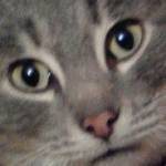 Seld