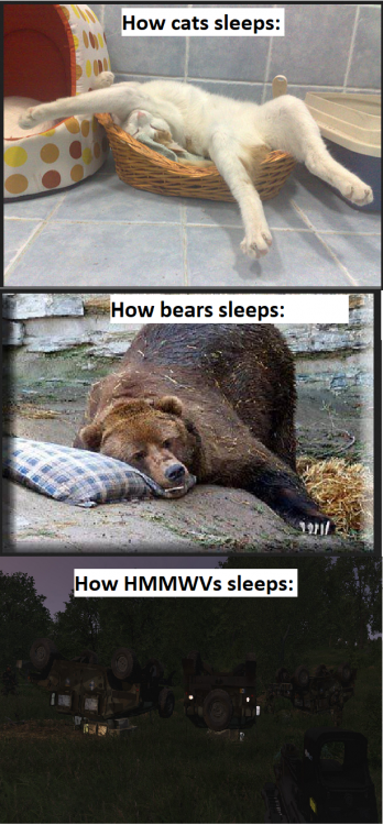 sleep.thumb.png.7885b802cbacc29ea99f328065a3f038.png