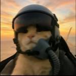 KiT