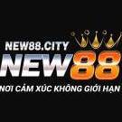 new88city