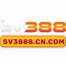 sv3888cncom
