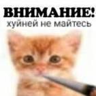 Nixel