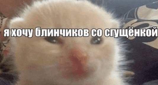5b12e31e58c570e5.gif.41fc35e690ad9e7a030b918877e7d858.gif