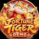 fortunetigerdem