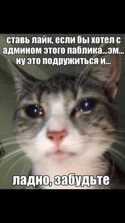 P8Yyqjy0QkIe8ZyTFGKJjmHnnoZpVndxuhgmvENiU0h630Y5rnropAn74Nh2UBc40n7ngwv1dy-XK3imCS3Ssk35.jpg